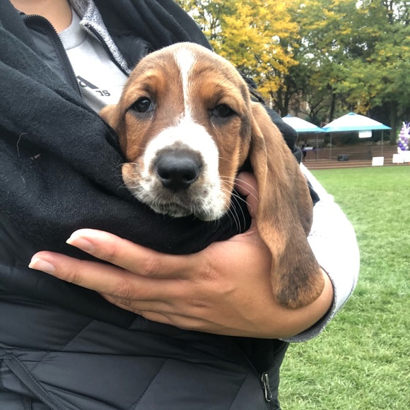 Meet your Posher, Michelle - Picture 1 of 1